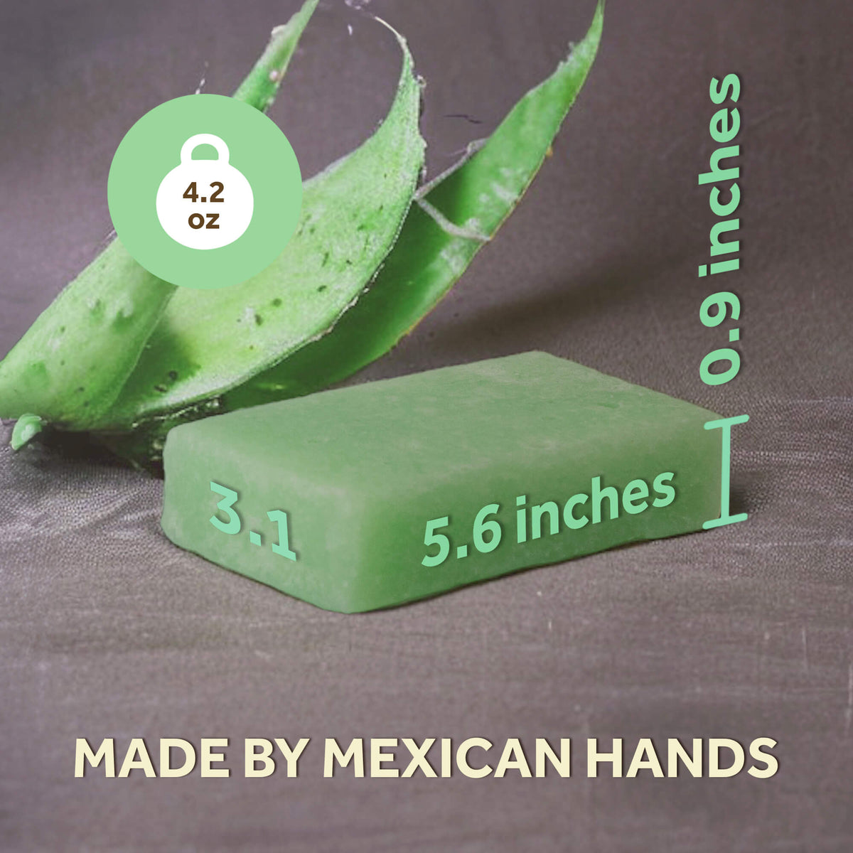 EsponJabon Aloe Vera - Moisturizing Effect